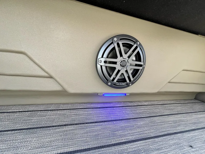 Slide: The Image of Sylvan L Series L3 Party Fish 2024 - 12