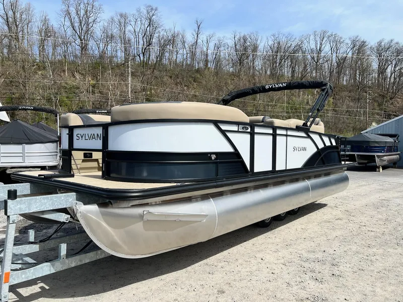 Slide: The Image of Sylvan L Series L3 Party Fish 2024 - 13