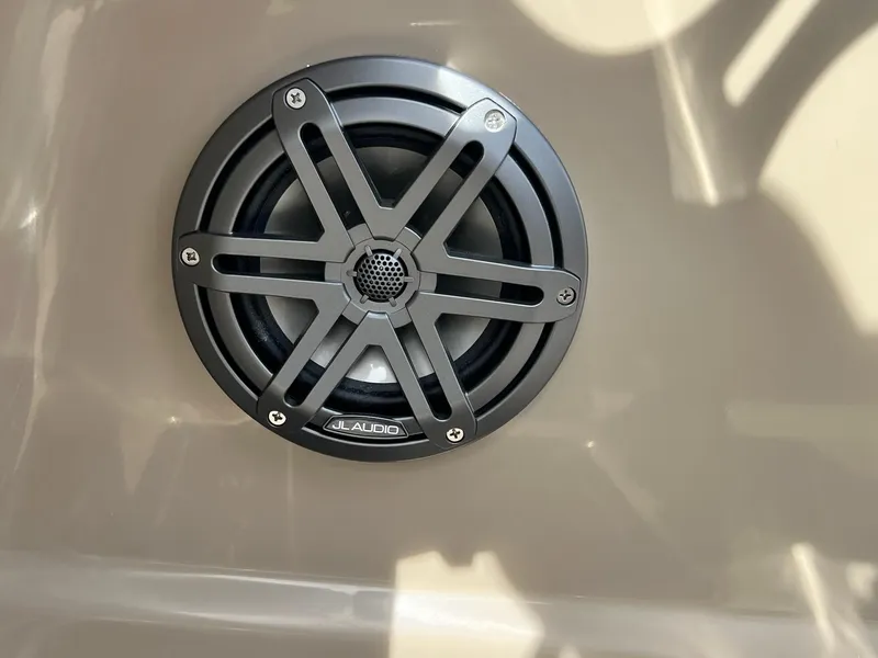 Slide: The Image of Sylvan L Series L3 Party Fish 2024 - 18