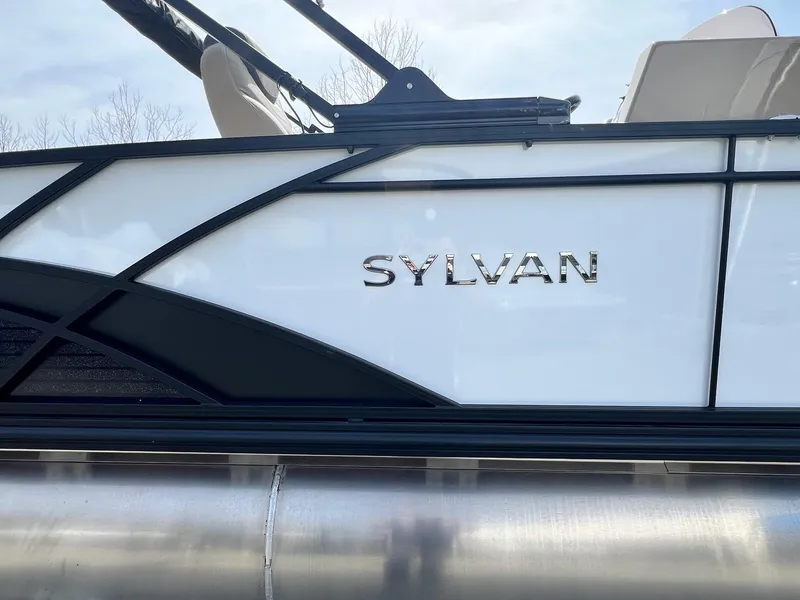 Slide: The Image of Sylvan L Series L3 Party Fish 2024 - 19