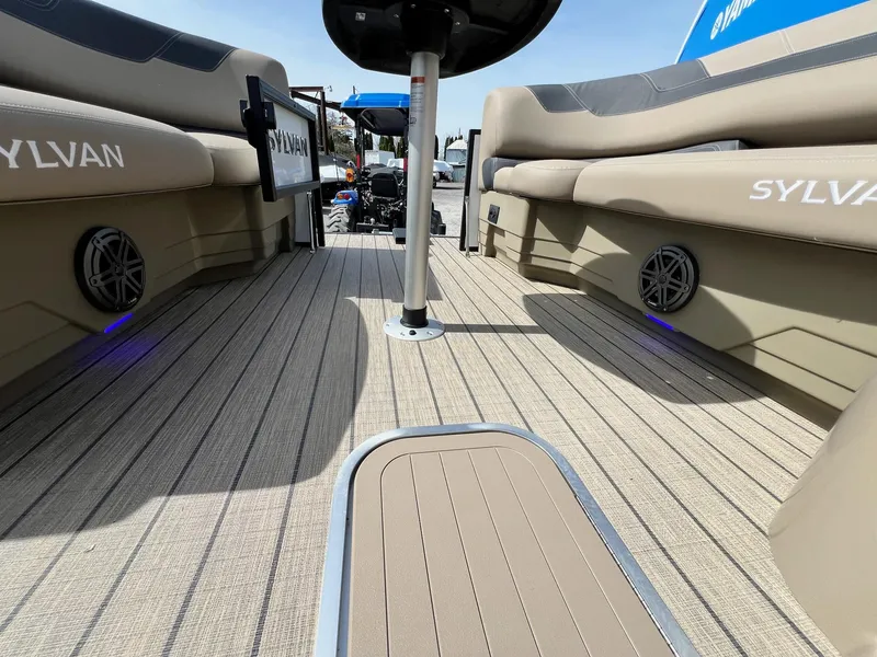 Slide: The Image of Sylvan L Series L3 Party Fish 2024 - 25