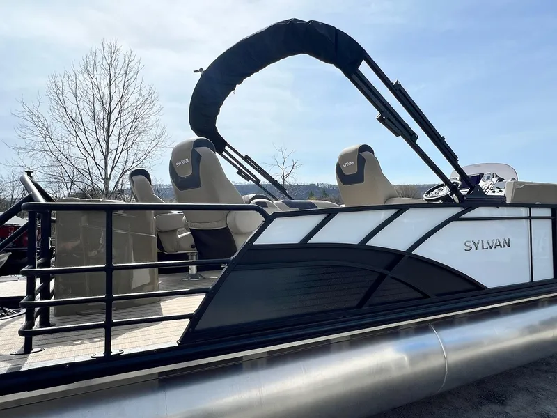 Slide: The Image of Sylvan L Series L3 Party Fish 2024 - 27