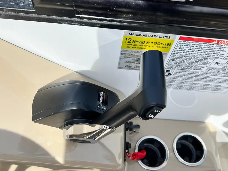 Slide: The Image of Sylvan L Series L3 Party Fish 2024 - 28