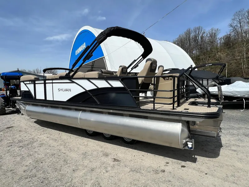 Slide: The Image of Sylvan L Series L3 Party Fish 2024 - 32