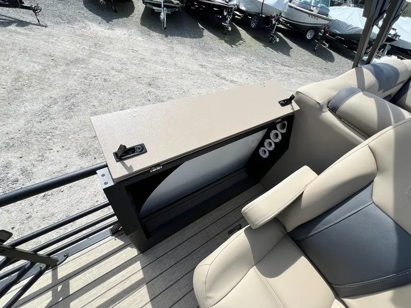 Slide: The Image of Sylvan L Series L3 Party Fish 2024 - 33