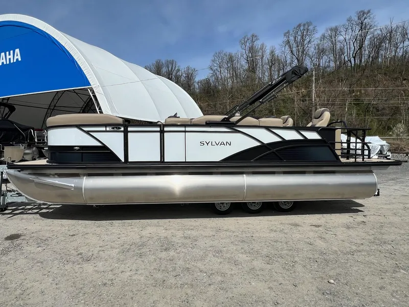 Slide: The Image of Sylvan L Series L3 Party Fish 2024 - 35