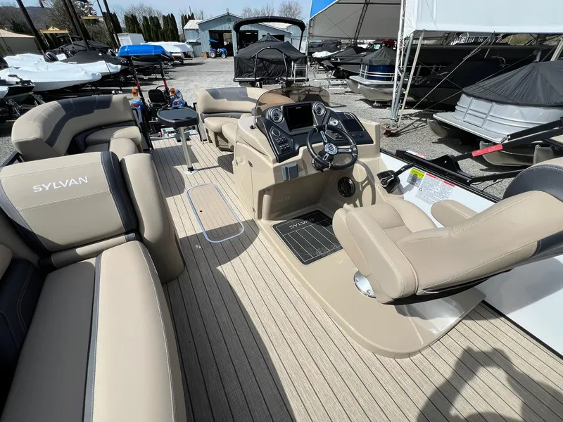 Slide: The Image of Sylvan L Series L3 Party Fish 2024 - 36