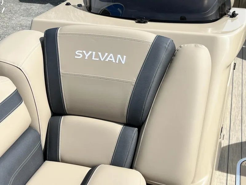 Slide: The Image of Sylvan L Series L3 Party Fish 2024 - 41