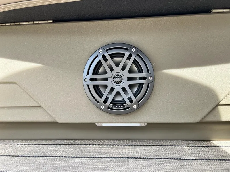 Slide: The Image of Sylvan L Series L3 Party Fish 2024 - 5