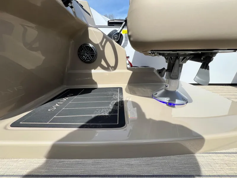 Slide: The Image of Sylvan L Series L3 Party Fish 2024 - 9