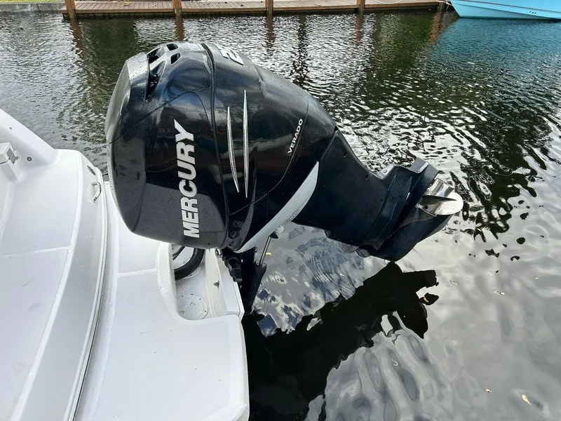 Slide: The Image of Glastron GS 259 2018 - 18