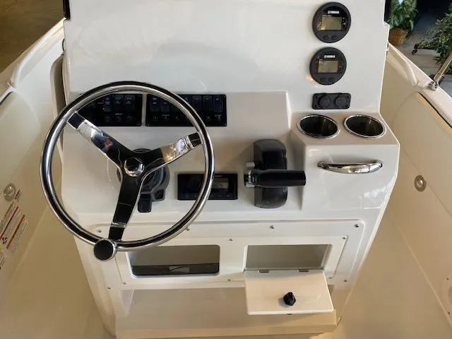 Slide: The Image of Stingray 173 CC 2024 - 10