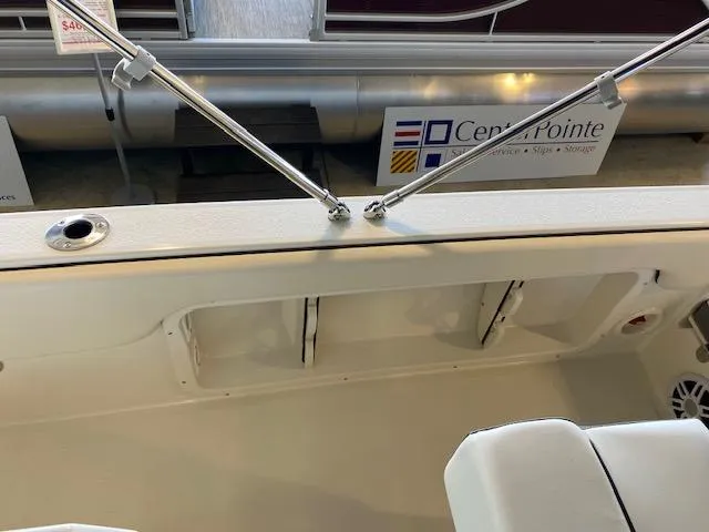 Slide: The Image of Stingray 173 CC 2024 - 12