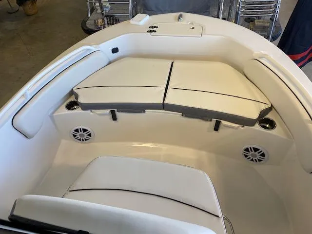 Slide: The Image of Stingray 173 CC 2024 - 13