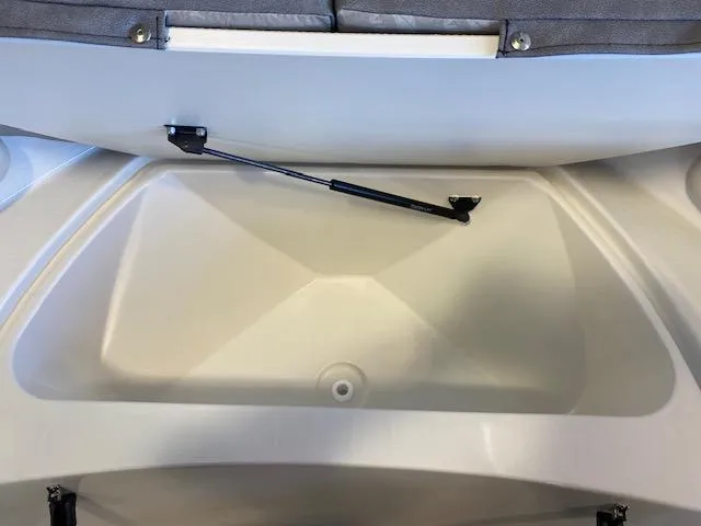 Slide: The Image of Stingray 173 CC 2024 - 14