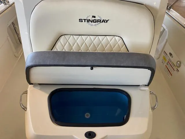 Slide: The Image of Stingray 173 CC 2024 - 15