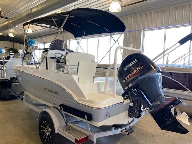 Slide: The Image of Stingray 173 CC 2024 - 5