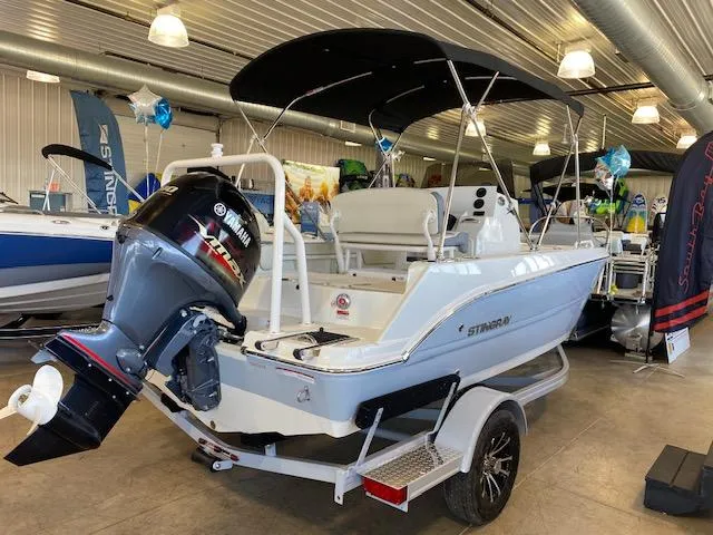 Slide: The Image of Stingray 173 CC 2024 - 7