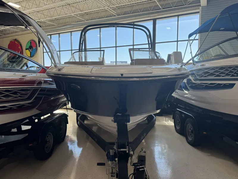 Slide: The Image of Sea Ray SPX 210 2024 - 6