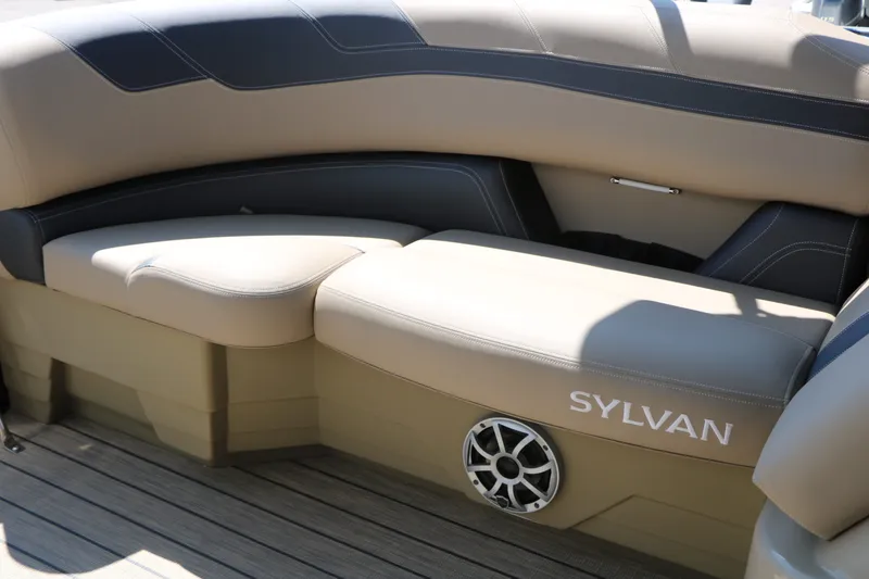 Slide: The Image of Sylvan L3 DLZ Tri-Toon 2025 - 33