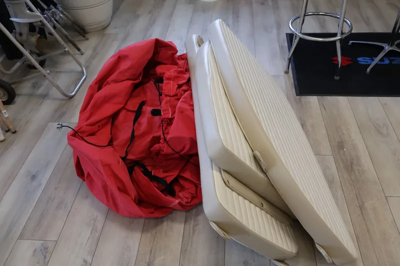 Slide: The Image of Carolina 218 DLV 2018 - 21