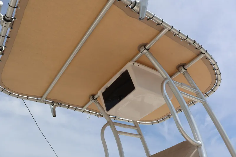 Slide: The Image of Carolina 218 DLV 2018 - 5