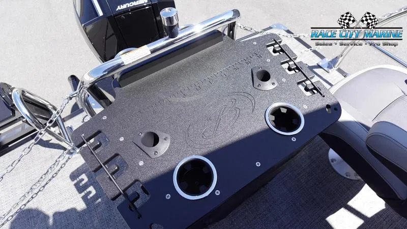 Slide: The Image of Barletta C22CC - 13