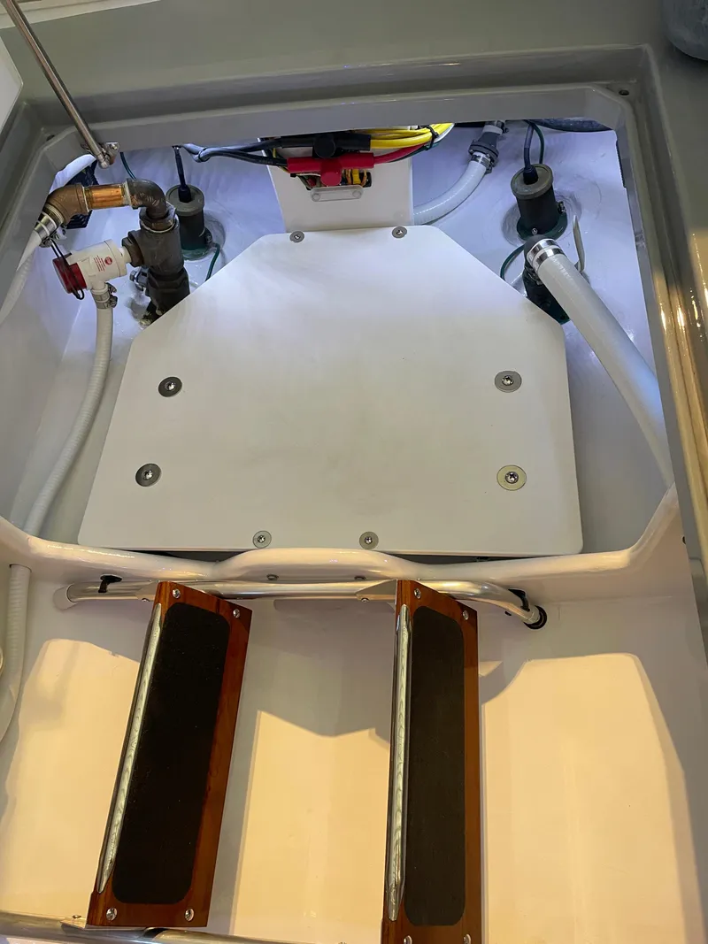 Slide: The Image of Lazarette - 36