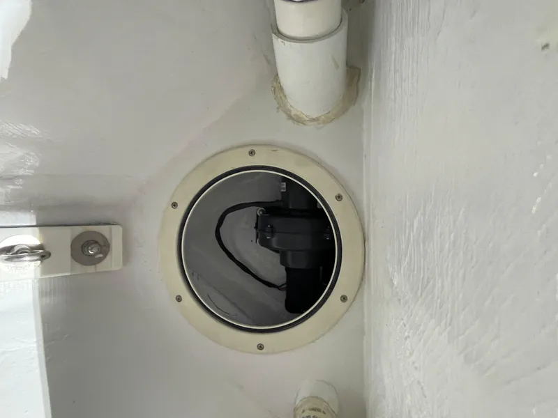 Slide: The Image of Blower In Bow - 42