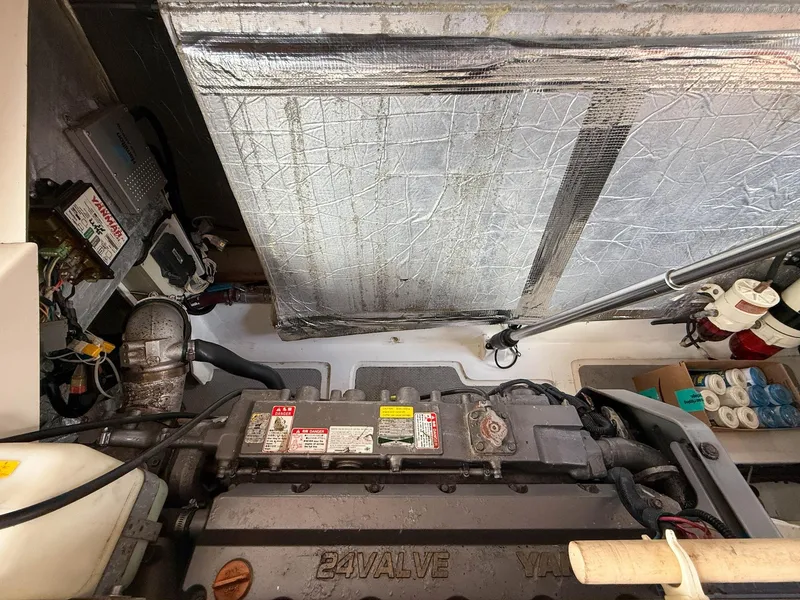 Slide: The Image of Oyster LD43 2007 - 60