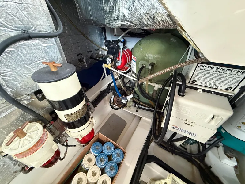 Slide: The Image of Oyster LD43 2007 - 62