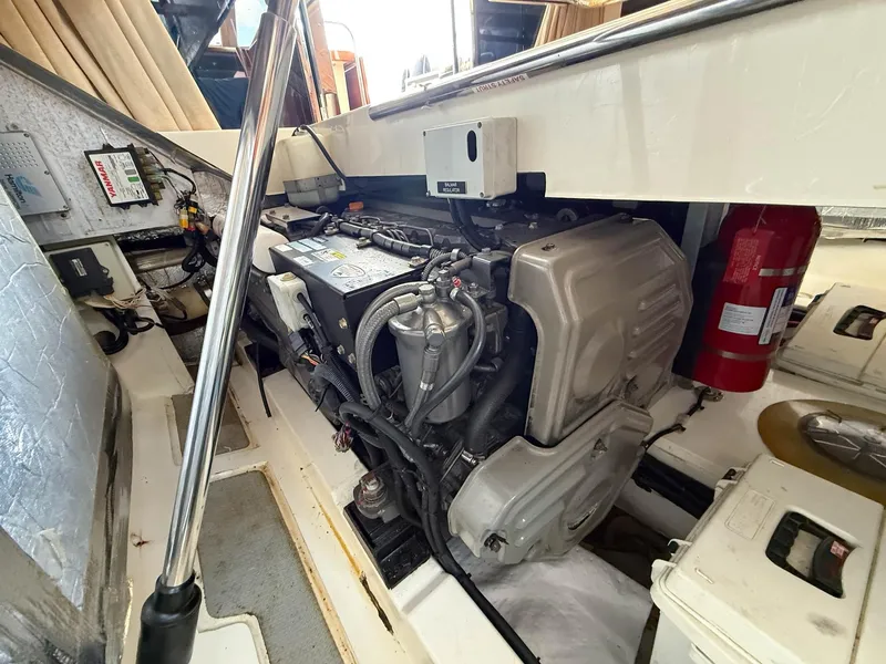 Slide: The Image of Oyster LD43 2007 - 69