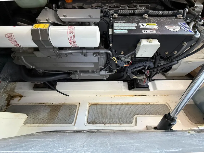 Slide: The Image of Oyster LD43 2007 - 70