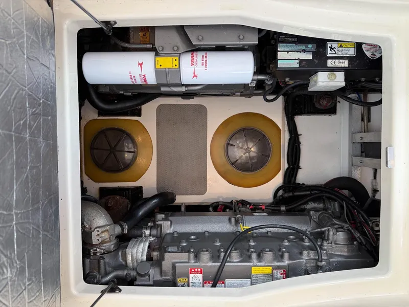 Slide: The Image of Oyster LD43 2007 - 71