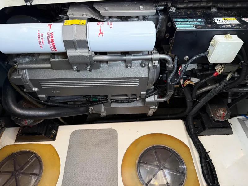 Slide: The Image of Oyster LD43 2007 - 73