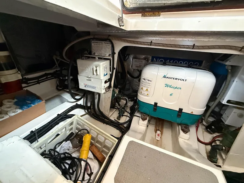 Slide: The Image of Oyster LD43 2007 - 75