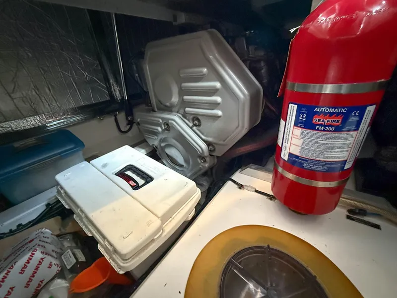 Slide: The Image of Oyster LD43 2007 - 76