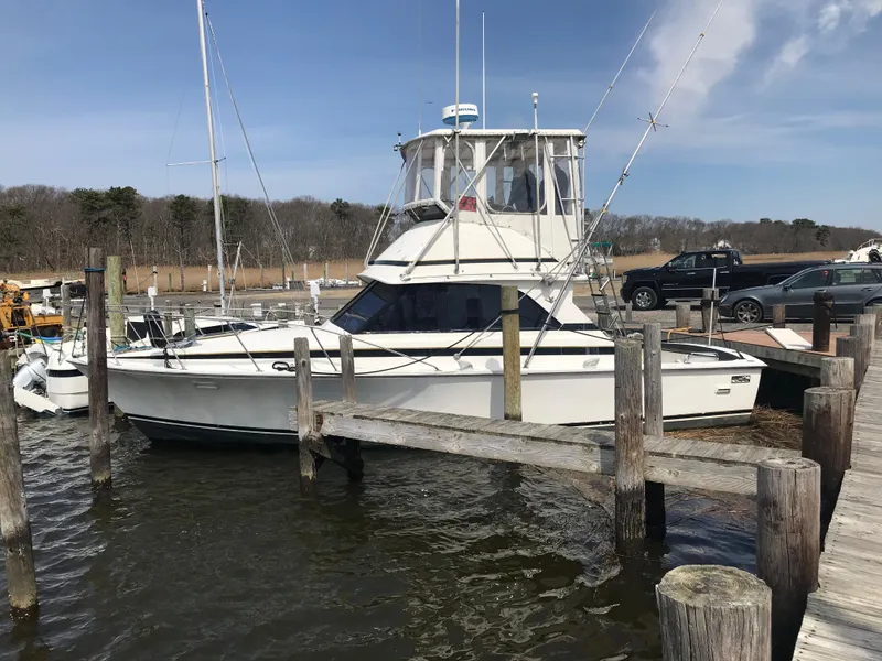 The Image of 1981 Bertram 35 Convertible docked at a marina. - 0