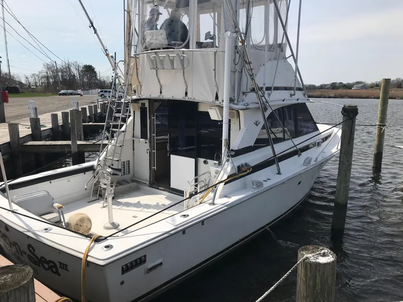 Slide: The Image of 1981 Bertram 35 Convertible docked at a marina. - 17