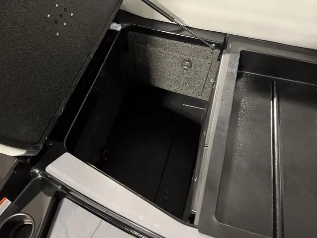 Slide: The Image of Axis T235 2024 - 11