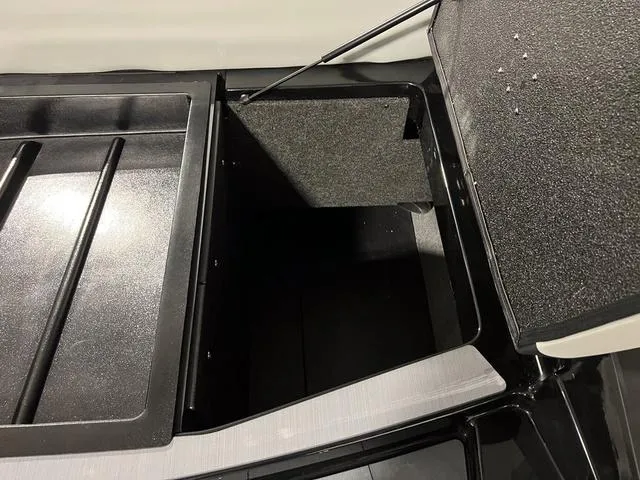 Slide: The Image of Axis T235 2024 - 12