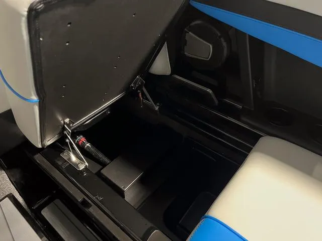 Slide: The Image of Axis T235 2024 - 18