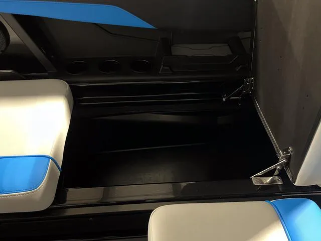 Slide: The Image of Axis T235 2024 - 19