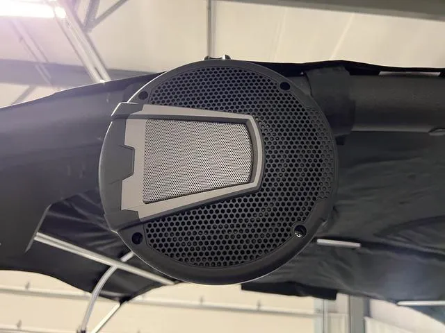 Slide: The Image of Axis T235 2024 - 48