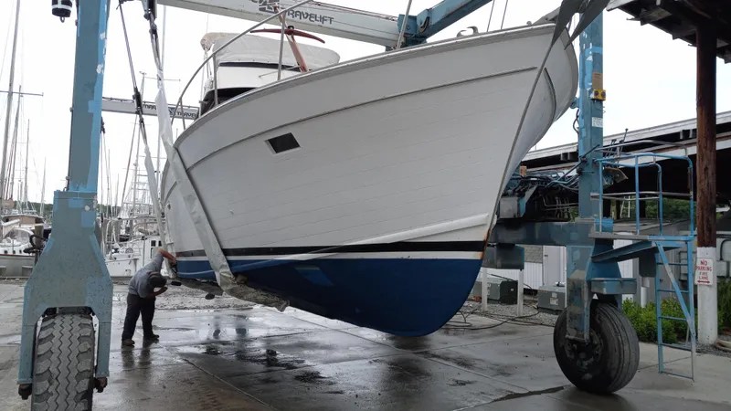 Slide: The Image of bow pic - 3