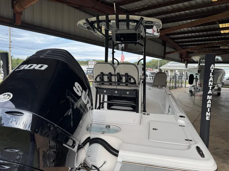 Slide: The Image of Sea Pro 250 DLX 2024 - 12