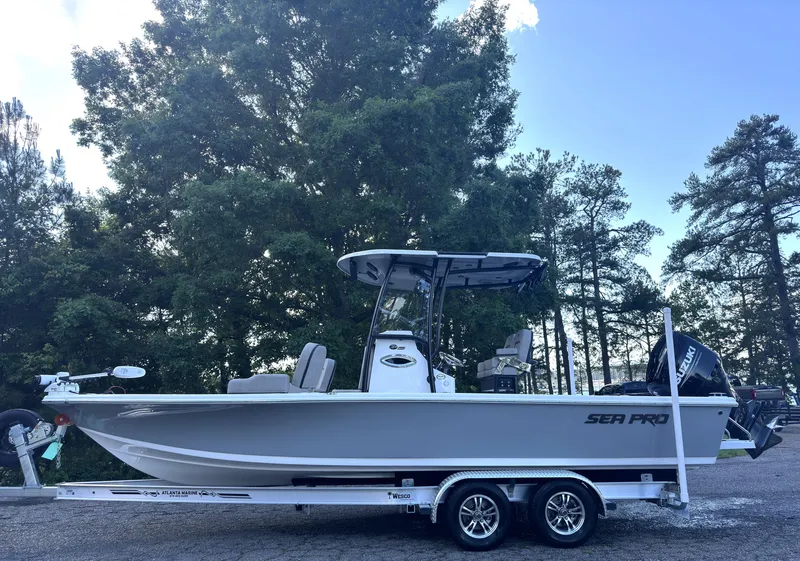 Slide: The Image of Sea Pro 250 DLX 2024 - 13