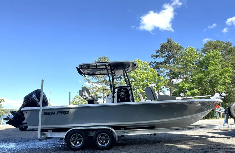 Slide: The Image of Sea Pro 250 DLX 2024 - 14