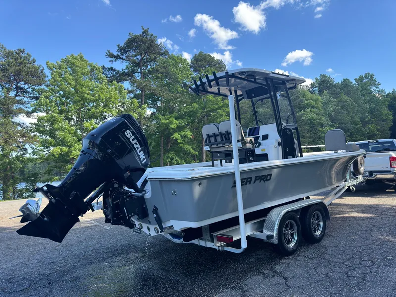 Slide: The Image of Sea Pro 250 DLX 2024 - 15