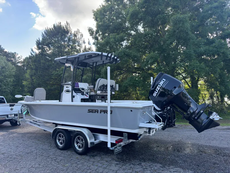 Slide: The Image of Sea Pro 250 DLX 2024 - 16